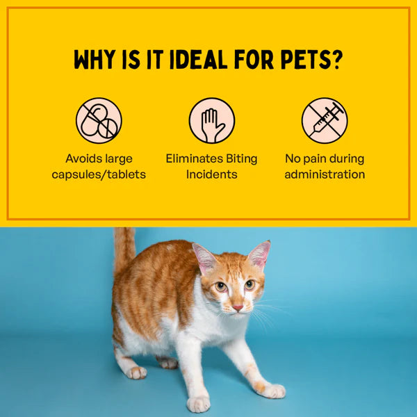 Furlicks Calming Aid for Cats and Dogs
