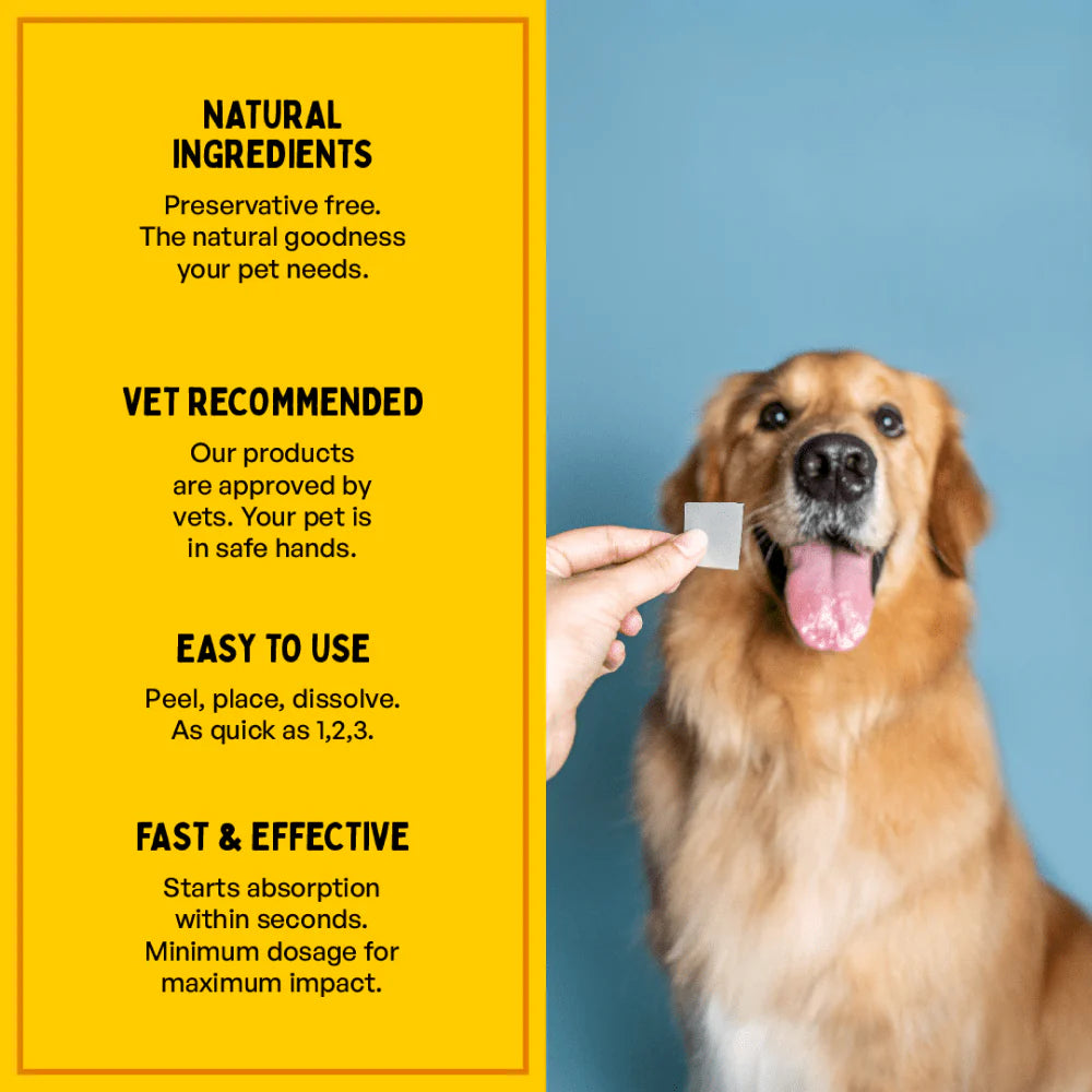 Furlicks Calming Aid for Cats and Dogs