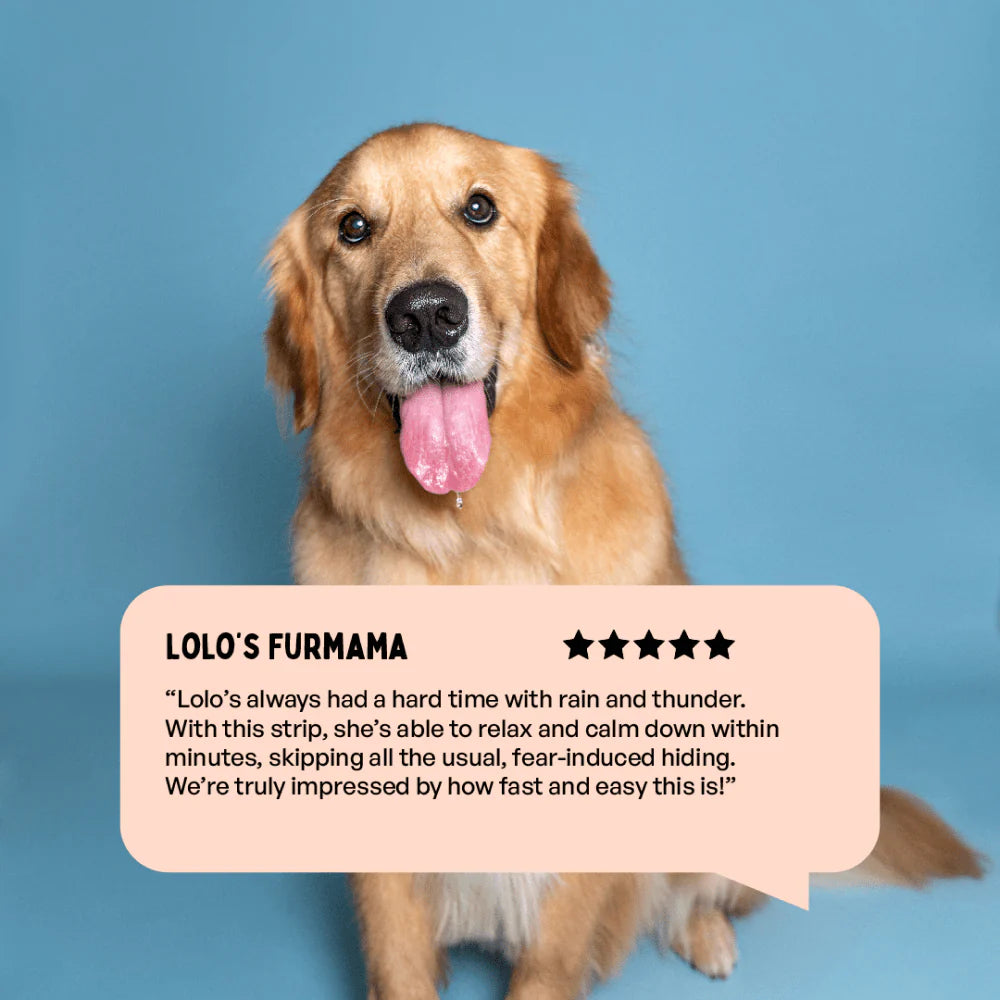 Furlicks Calming Aid for Cats and Dogs