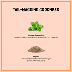 Furlicks Fresh Breath Oral Strips for Cats and Dogs