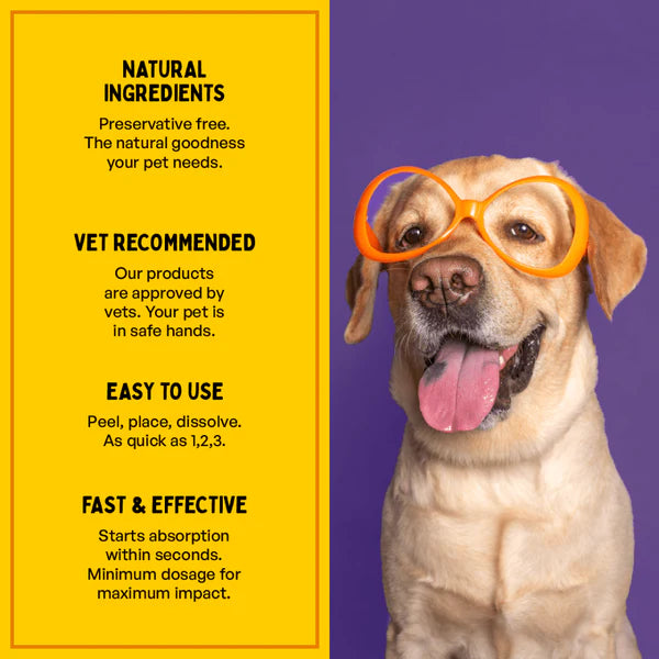 Furlicks Gut Health Supplement and Himalaya Himpyrin Anti Inflammatory & Pain Relief Drops Combo for Dogs and Cats