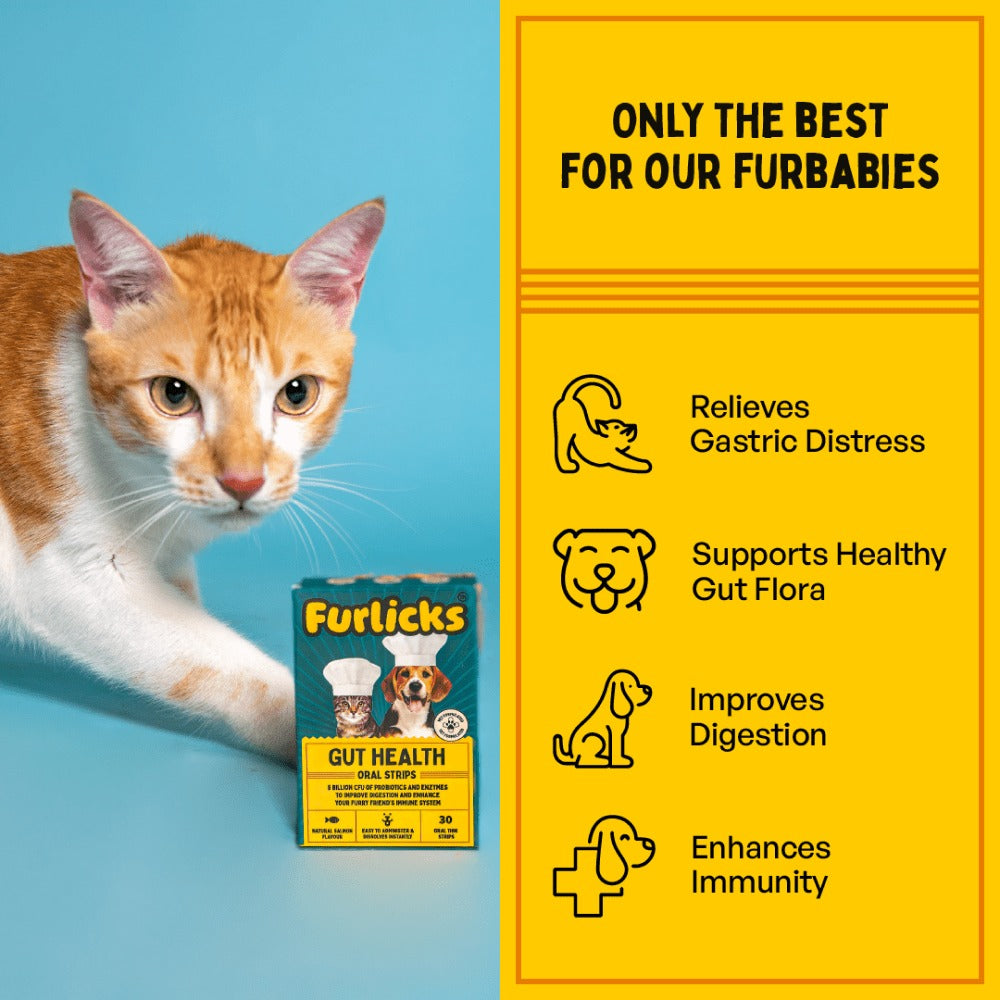 Royal Canin Maxi Puppy Dry Food and Furlicks Gut Health Supplement Combo for Dogs