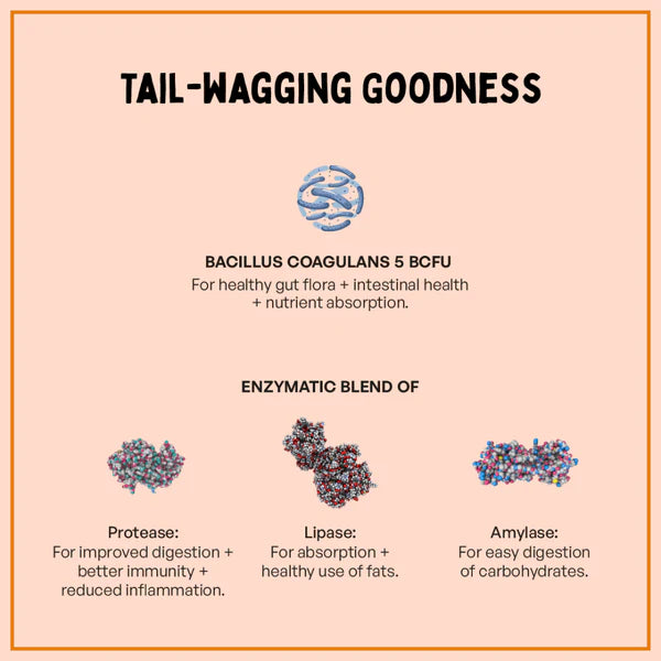 Furlicks Gut Health Supplement and Himalaya Himpyrin Anti Inflammatory & Pain Relief Drops Combo for Dogs and Cats