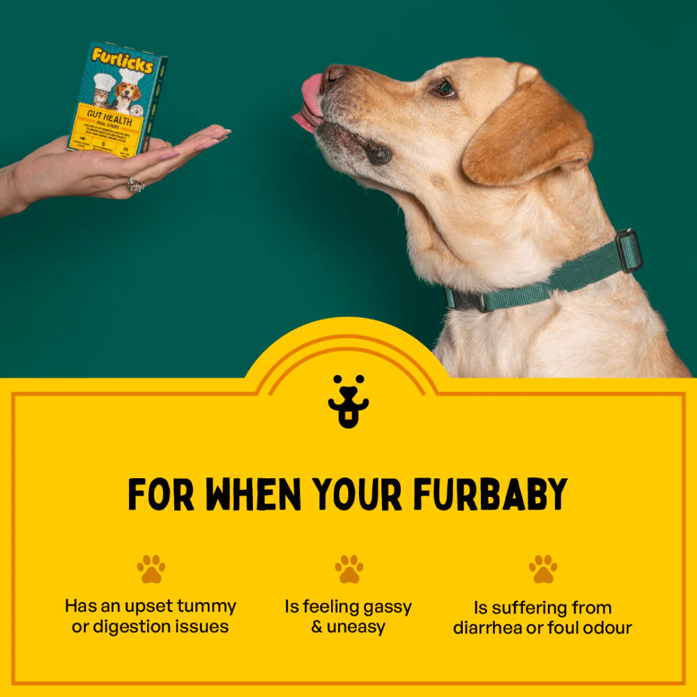 Furlicks Gut Health Supplement and Himalaya Himpyrin Anti Inflammatory & Pain Relief Drops Combo for Dogs and Cats