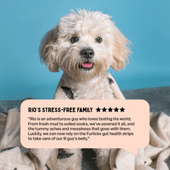 Furlicks Gut Health Supplement and Himalaya Himpyrin Anti Inflammatory & Pain Relief Drops Combo for Dogs and Cats