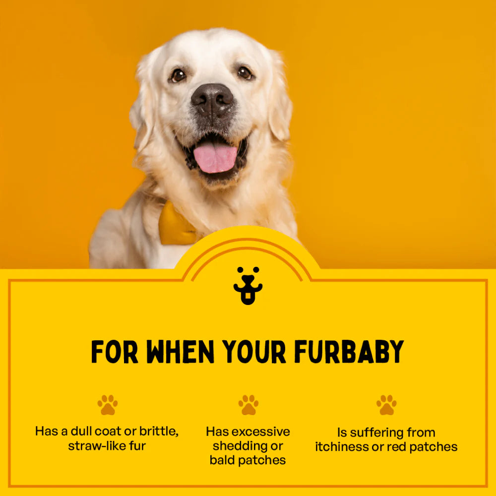 Furlicks Skin & Coat Supplement and Chip Chops Chicken and Codfish Rolls Treats Combo for Dogs