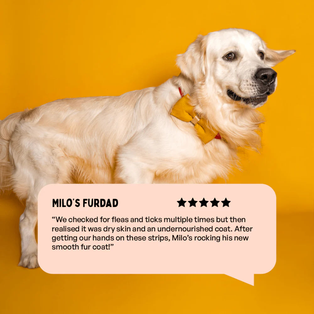 Furlicks Skin & Coat Supplement and Himalaya Furglow Skin and Coat Tonic Combo for Dogs and Cats