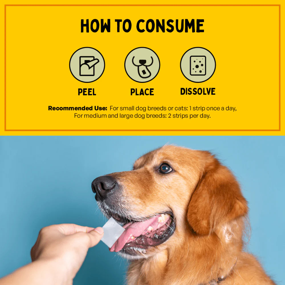 Furlicks Skin & Coat Supplement and Himalaya Furglow Skin and Coat Tonic Combo for Dogs and Cats