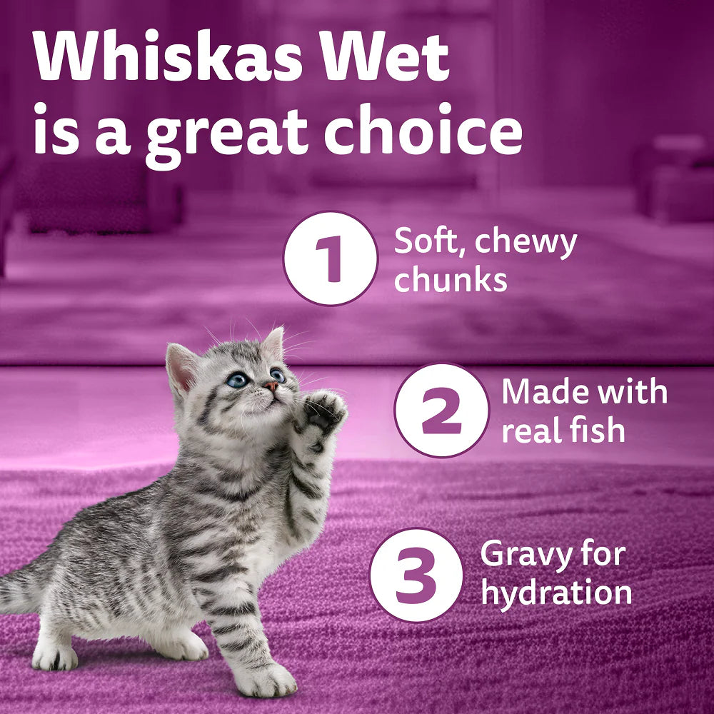 Whiskas Junior Mackerel Flavour Kitten (2-12 months) Cat Wet Food