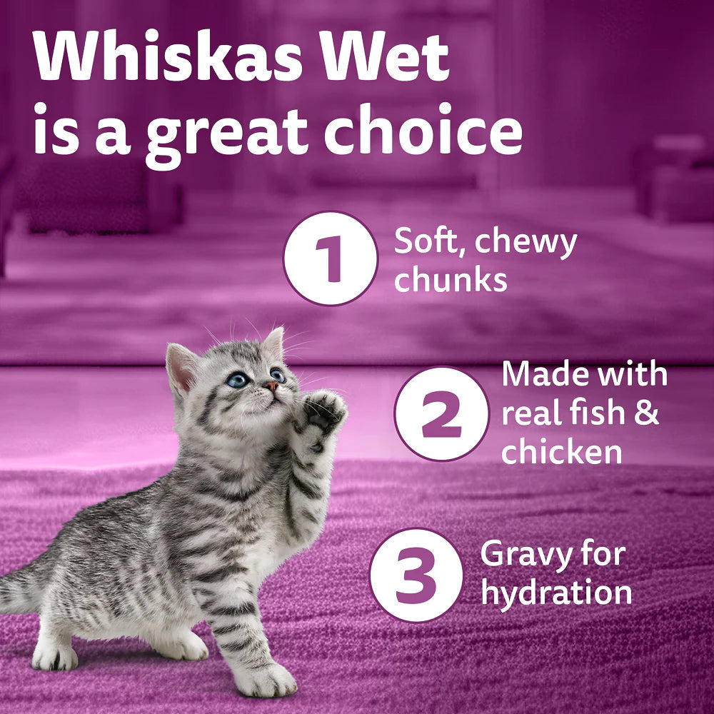 Whiskas Chicken with Salmon in Jelly Kitten (2-12 Months) Cat Wet Food