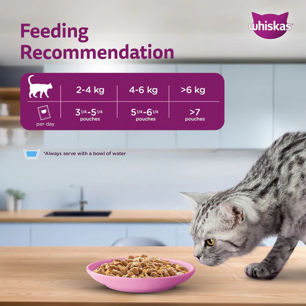 Whiskas Salmon in Gravy Meal Adult Cat Wet Food
