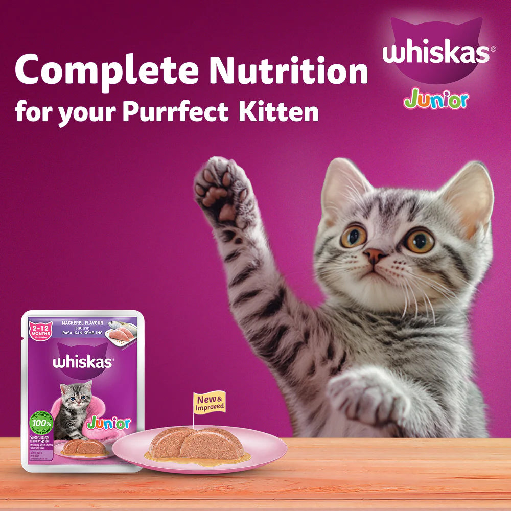 Whiskas Junior Mackerel Flavour Kitten (2-12 months) Cat Wet Food