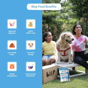 BLEP Chicken & Pumpkin Pawer Dog Wet Food (200g)