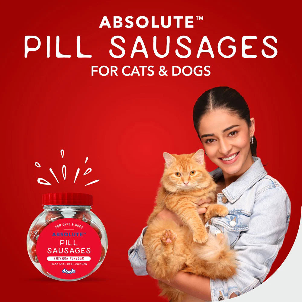 Drools Real Chicken Pill Sausage Treats for Dogs and Cats(Jar)