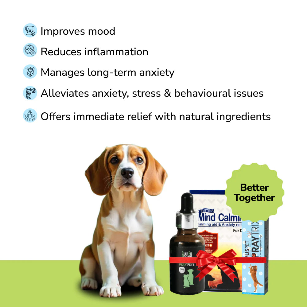 Anxiety Relief Combo Superkit for Dogs