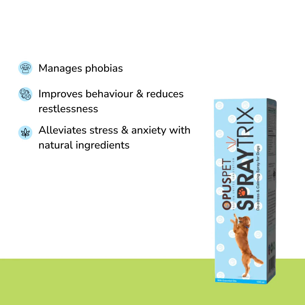 Anxiety Relief Combo Superkit for Dogs