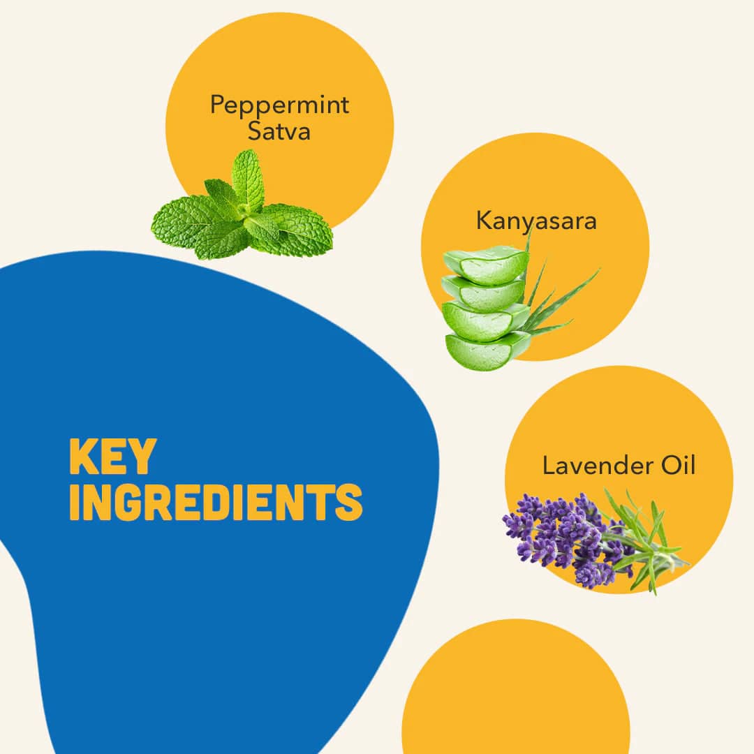 Natural Remedies Natgut Digestive Tablets & Fresh Me Up Bloom Dry Shampoo Dogs & Cats Combo