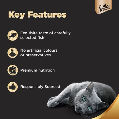 Sheba Fish with Dry Bonito Flake, Skipjack & Salmon Fish, Maguro & Bream Fish Mix and Fish with Sasami Cat Wet Food Combo