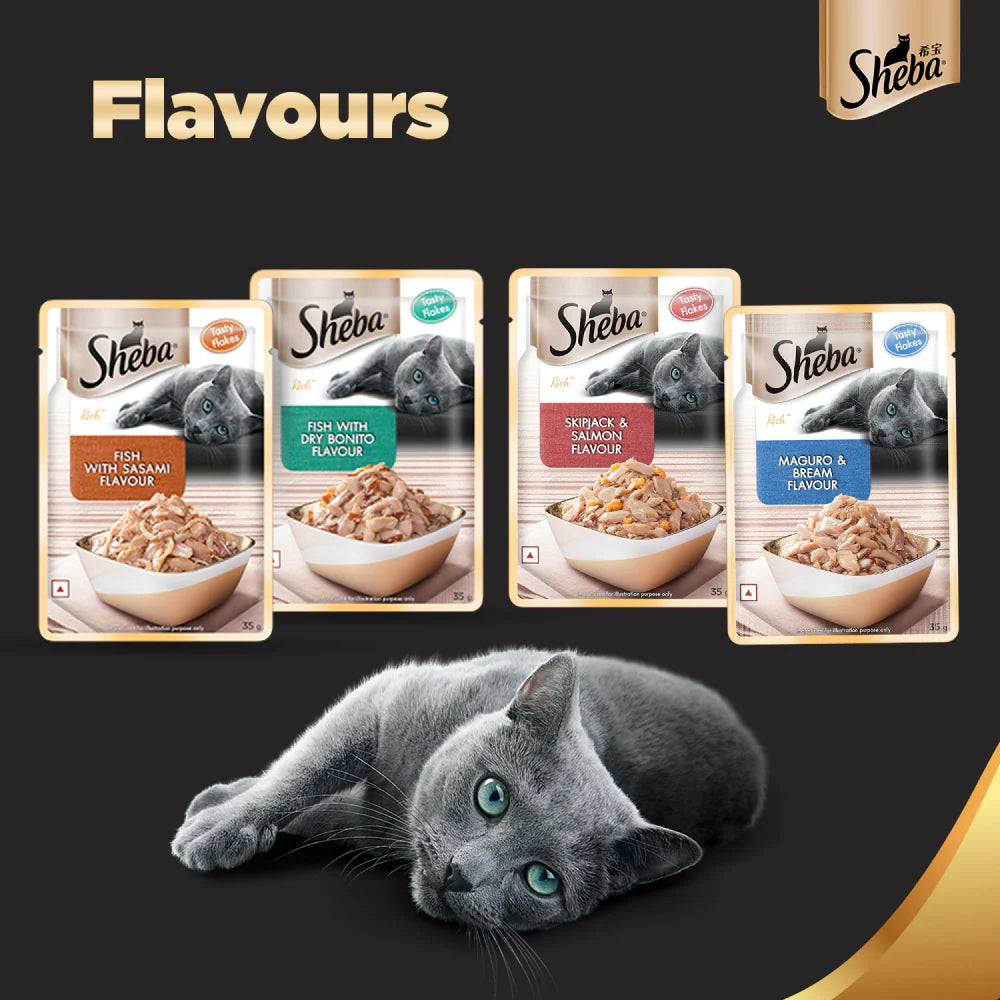 Sheba Maguro & Bream Fish, Skipjack & Salmon Fish and Fish with Sasami Mix Premium Cat Wet Food Combo