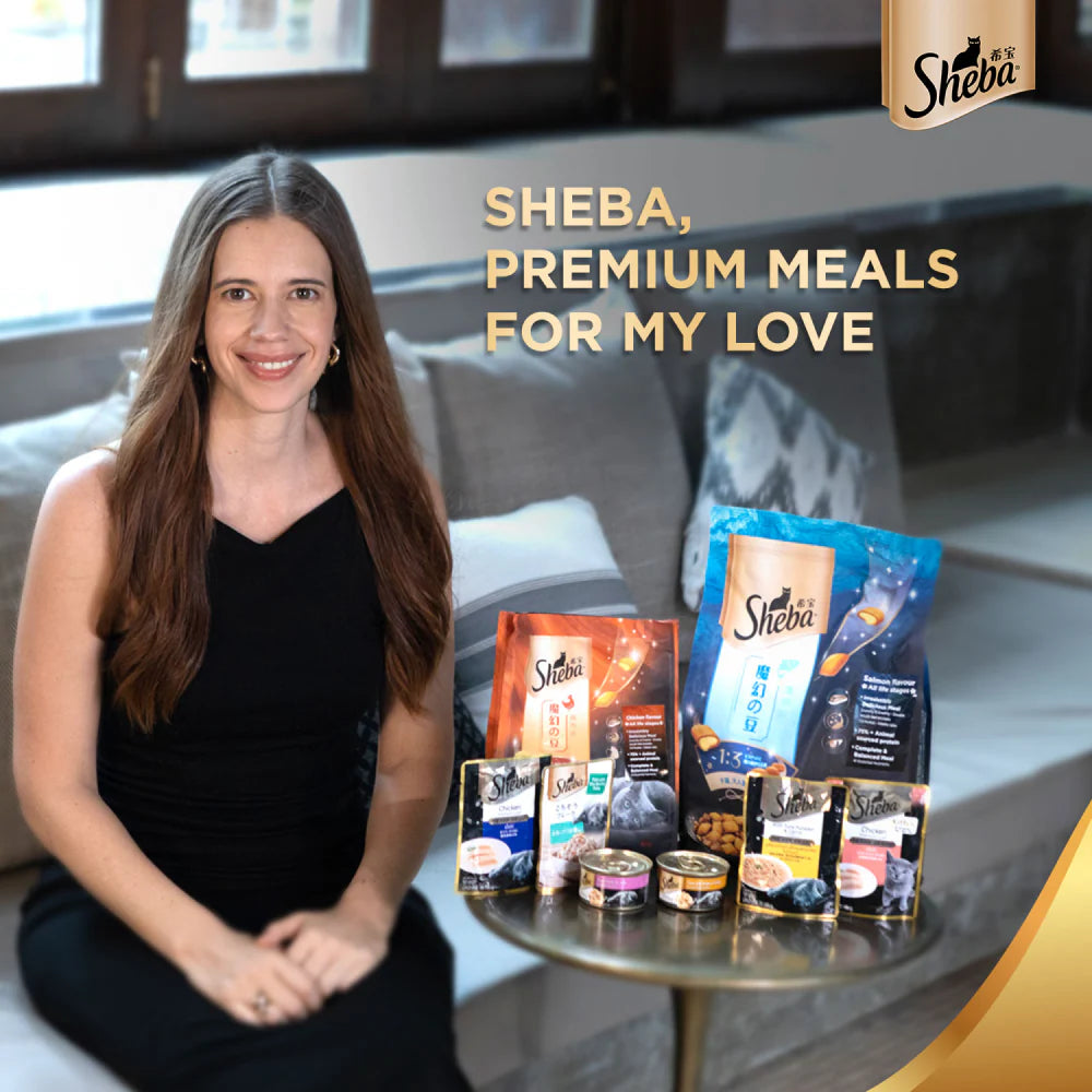 Sheba Maguro & Bream Fish, Skipjack & Salmon Fish and Fish with Sasami Mix Premium Cat Wet Food Combo