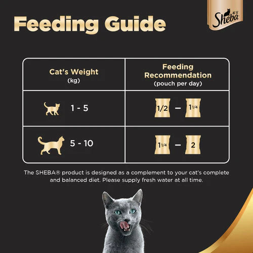 Sheba Maguro & Bream Fish and Tuna Pumpkin & Carrot In Gravy Rich Premium Cat Wet Food Combo