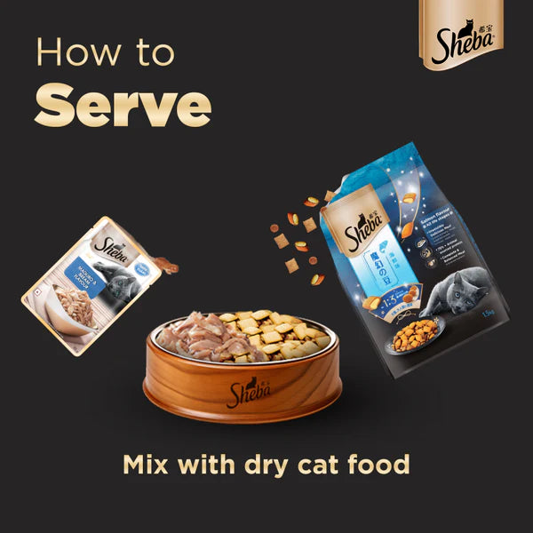 Sheba Maguro & Bream Fish and Tuna Pumpkin & Carrot In Gravy Rich Premium Cat Wet Food Combo