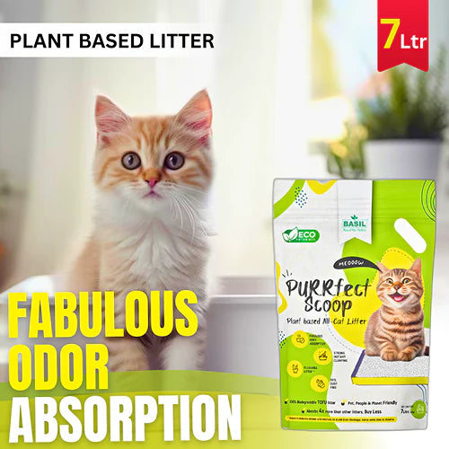 Basil Purrfect Milk Powder Scented Clumping Cat Litter