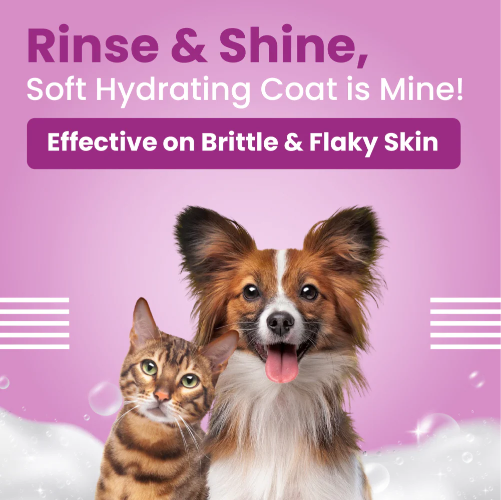 Bark Out Loud Allergy and Itch Relief Shampoo and Anti Microbial Skin Spray for Dogs and Cats Combo