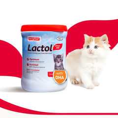Beaphar Lactol Milk Replacement Powder for Kitten