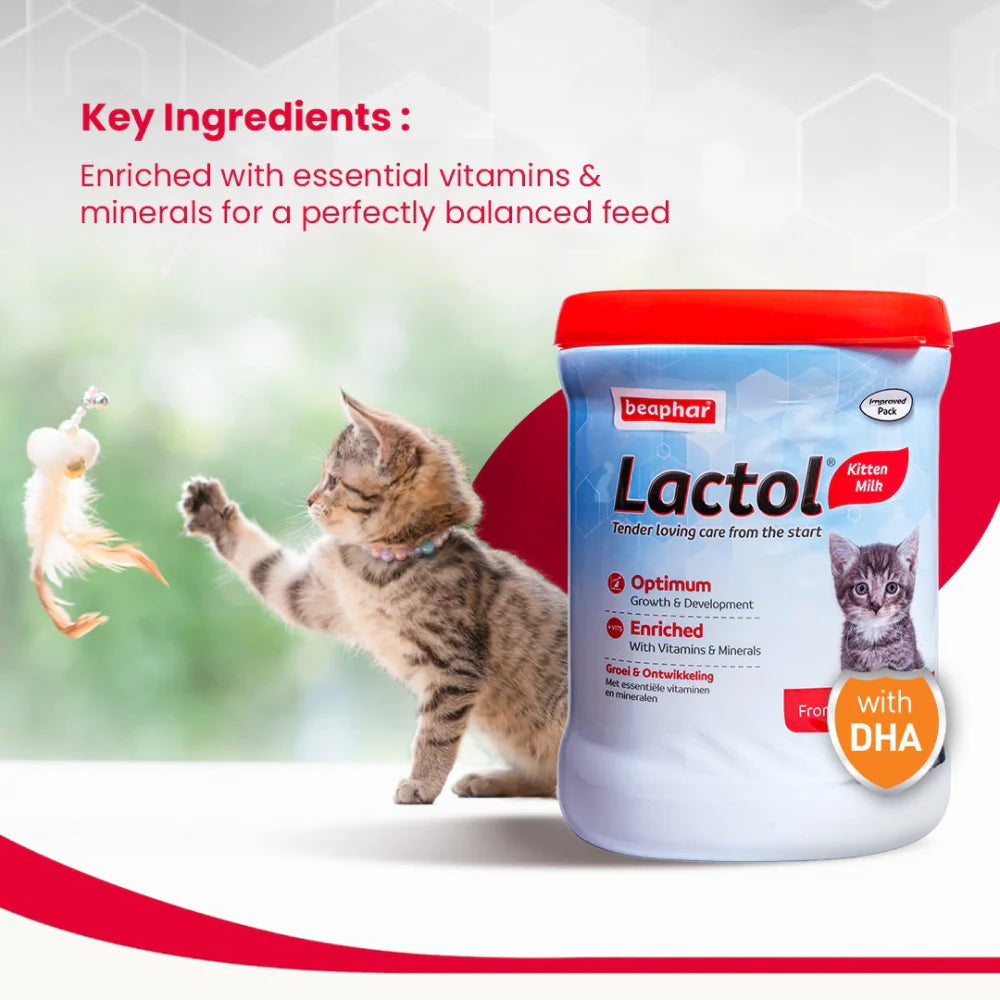 Beaphar Lactol Milk Replacement Powder for Kitten