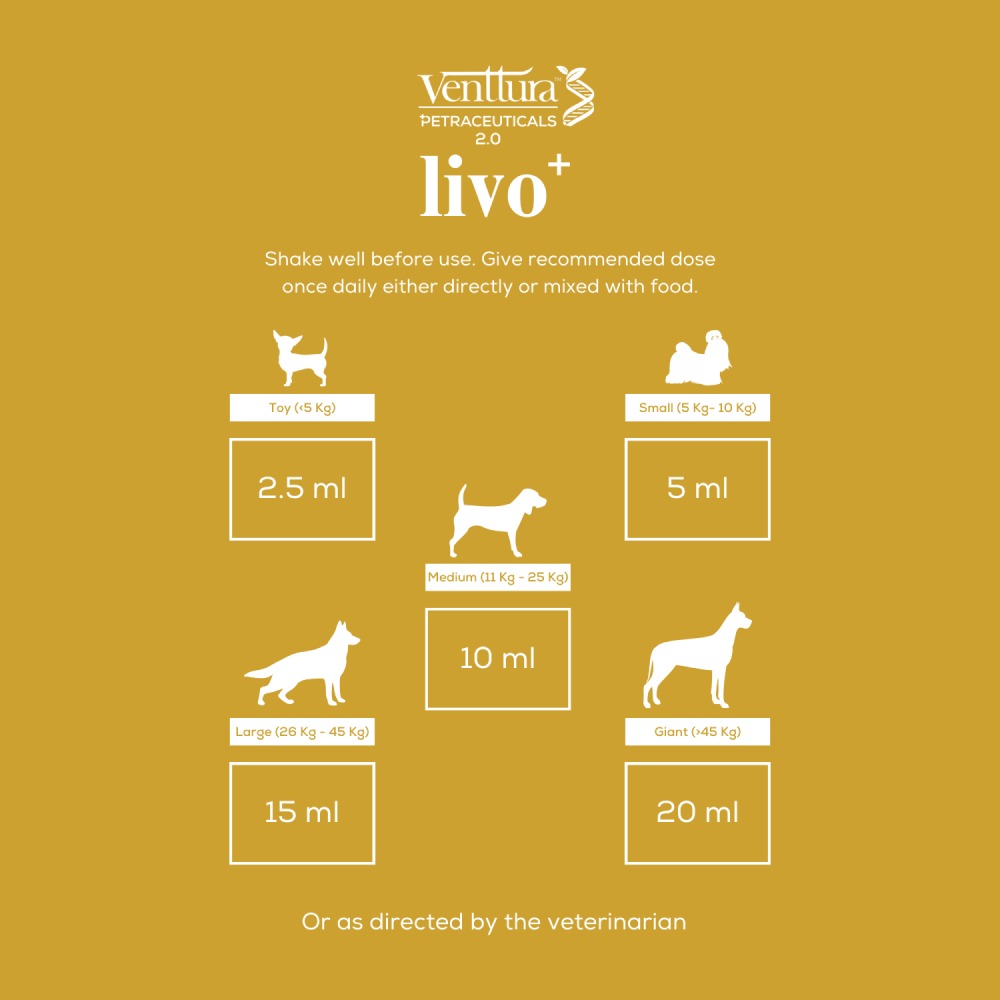 Venttura Livo Plus Liver Supplement Syrup for Dogs