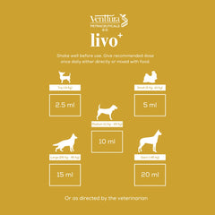 Venttura Livo Plus Liver Supplement Syrup for Dogs