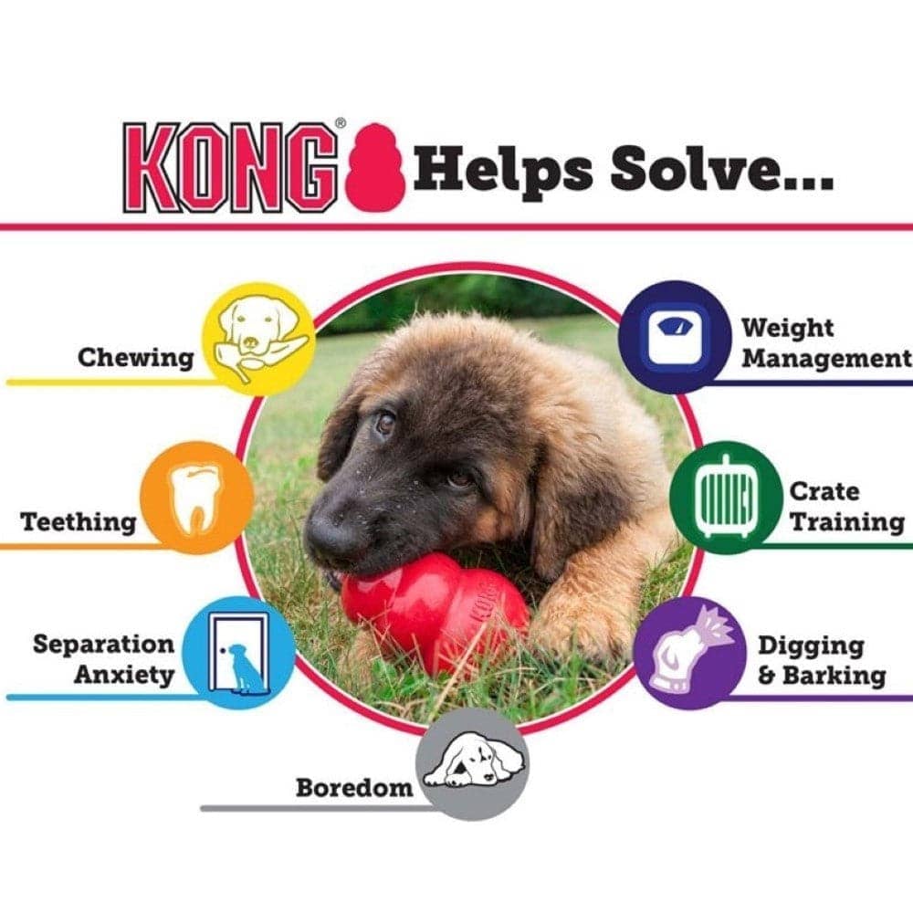 Healing Leaf Hemp Peanut Butter and Kong Classic Toy Combo for Dogs