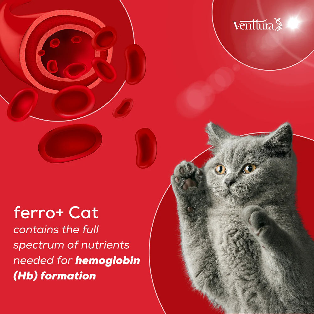 Venttura Ferro Blood Booster & Immunity Supplement for Cats