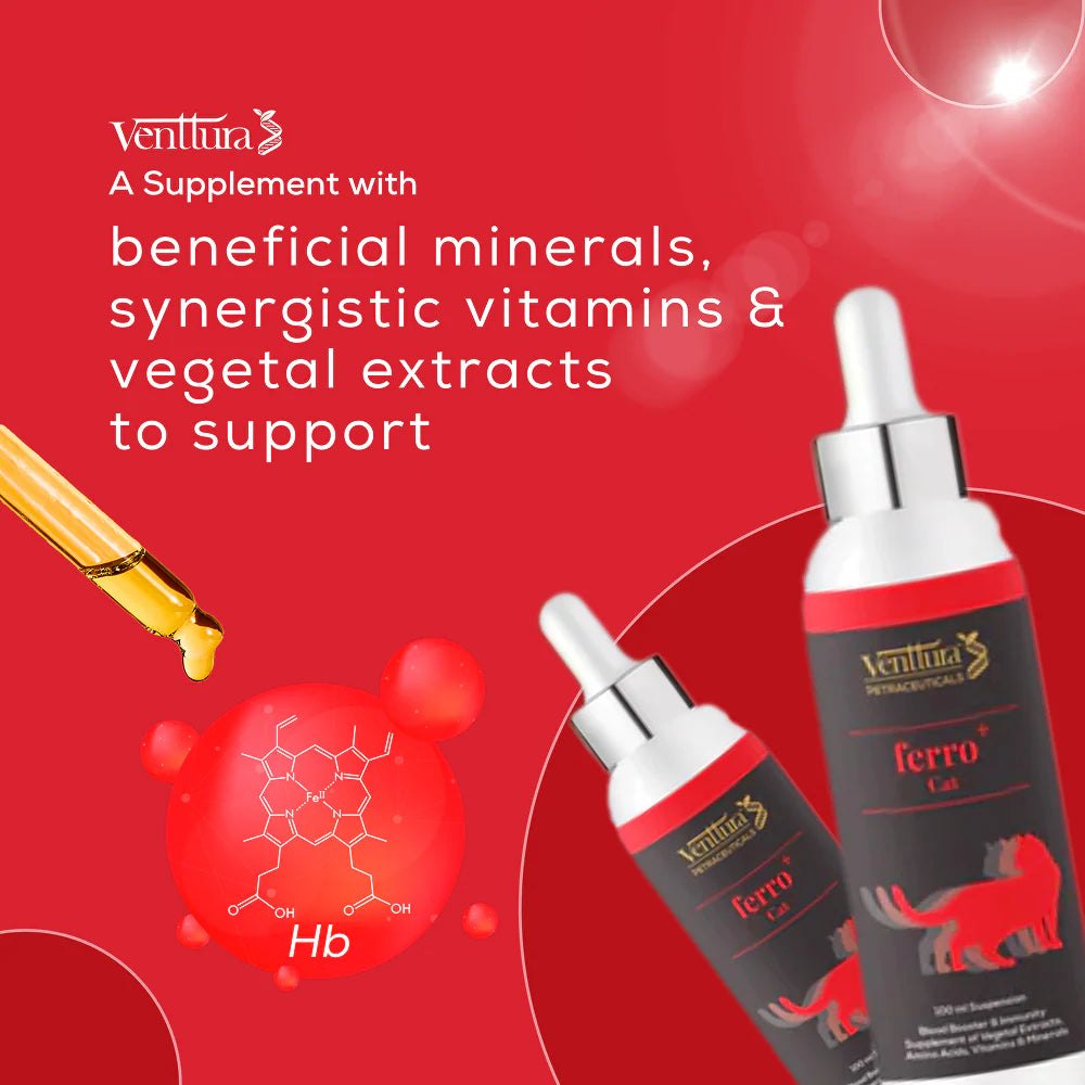 Venttura Ferro Blood Booster & Immunity Supplement for Cats