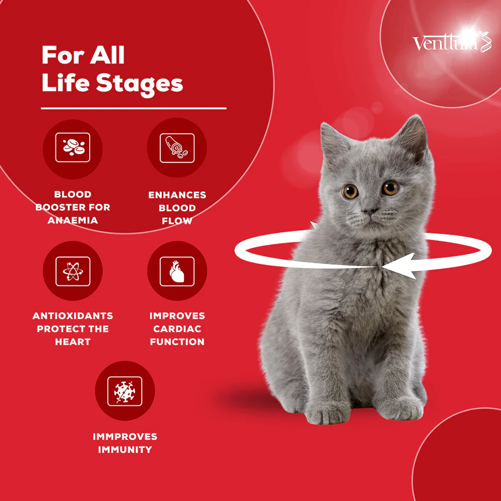 Venttura Ferro Blood Booster & Immunity Supplement for Cats