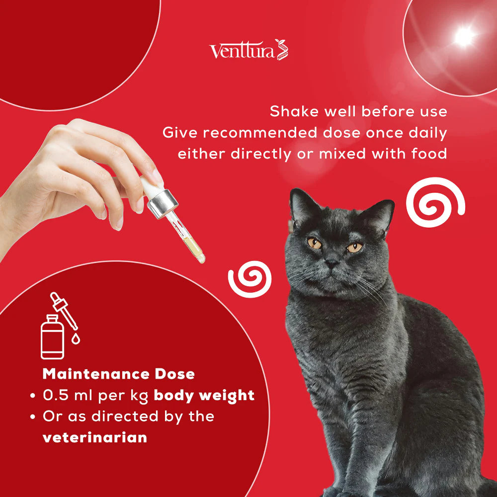 Venttura Ferro Blood Booster & Immunity Supplement for Cats