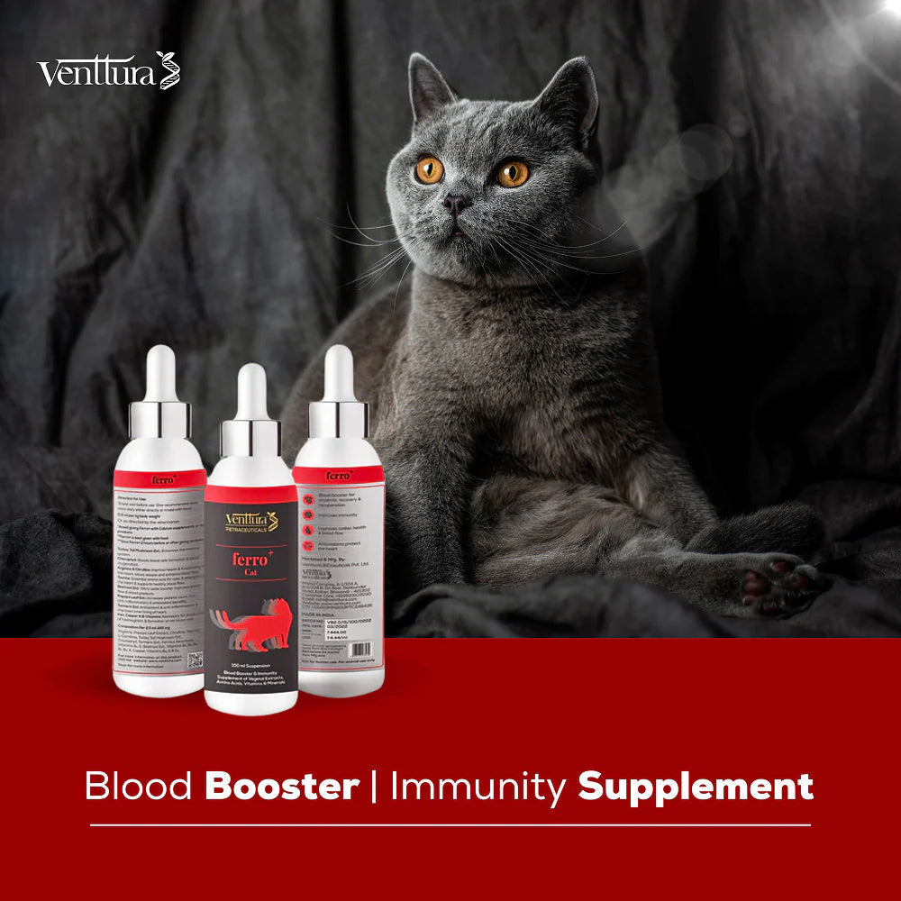 Venttura Ferro Blood Booster & Immunity Supplement for Cats