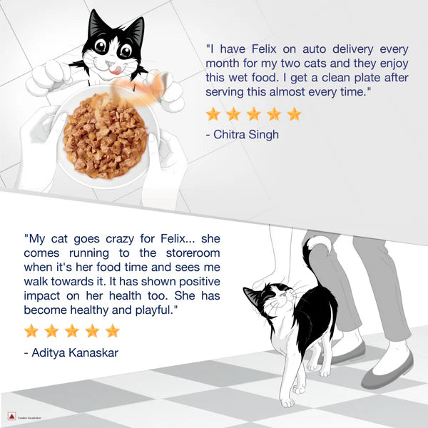 Purina Felix Tuna with Jelly Complete and Balanced Kitten Wet Food
