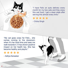 Purina Felix Chicken with Jelly Complete and Balanced Kitten Cat Wet Food