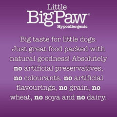 Little Big Paw Atlantic Salmon & Vegetables Terrine Dog Wet Food