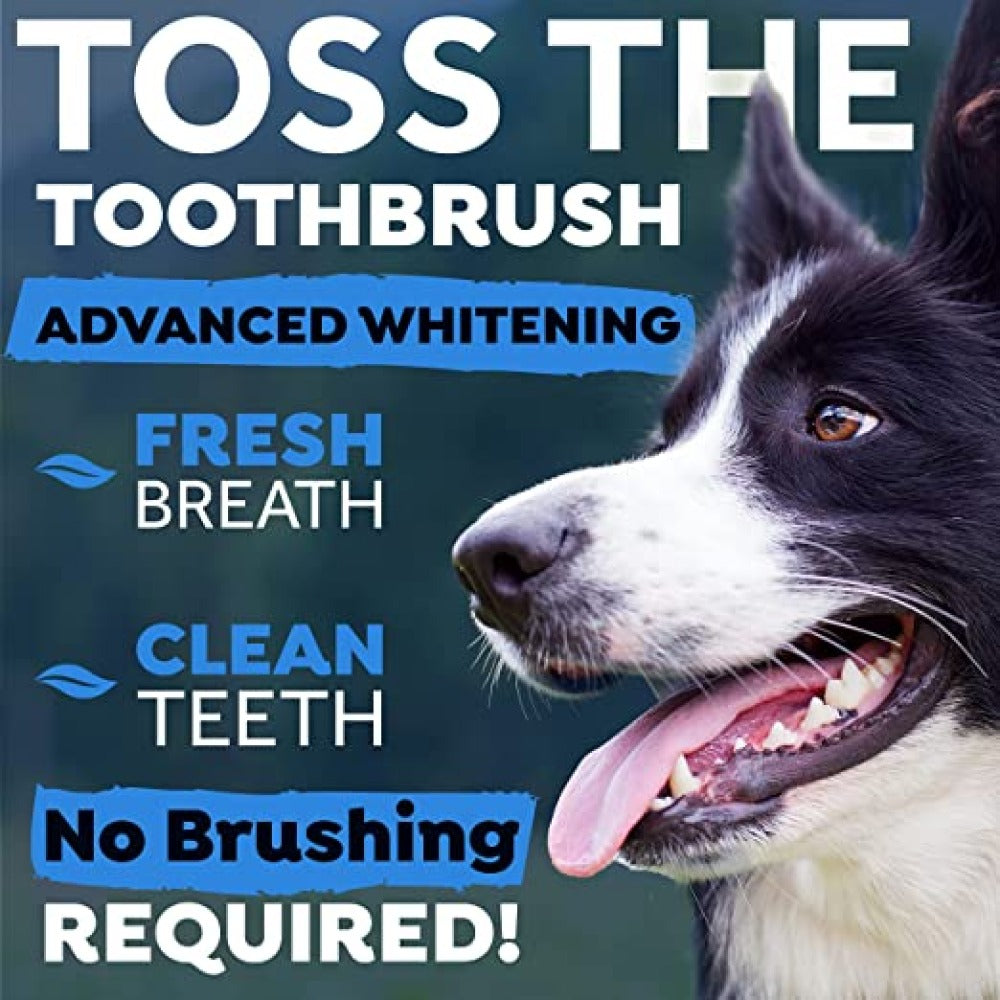 Tropiclean Advanced Whitening Oral Care Water Additive for Dogs