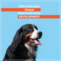 Kennel Kitchen Calcium Chicken Nuggets Dog Treat