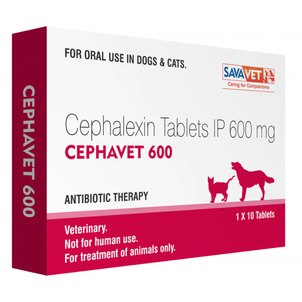 Savavet Cephavet 600 mg (Cephalexin) Tablet for Dogs & Cats