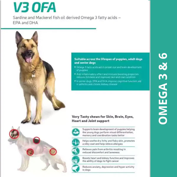 Vvaan V3 OFA Tablet for Dogs (pack of 40 tablets)