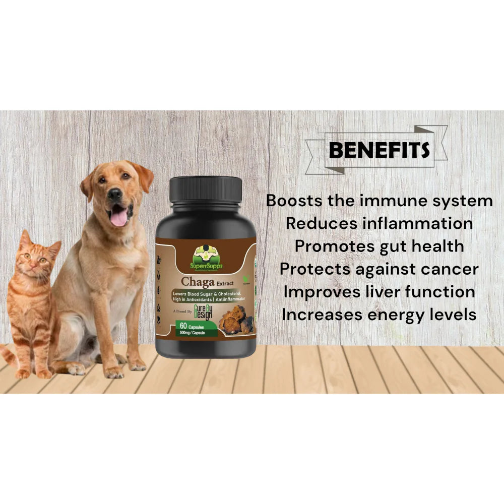 Cure By Design Chaga Mushroom Capsules for Dogs and Cats