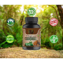 Cure By Design Chaga Mushroom Capsules for Dogs and Cats