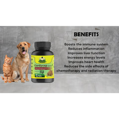 Cure By Design Cordycep Mushroom Capsules for Dogs and Cats