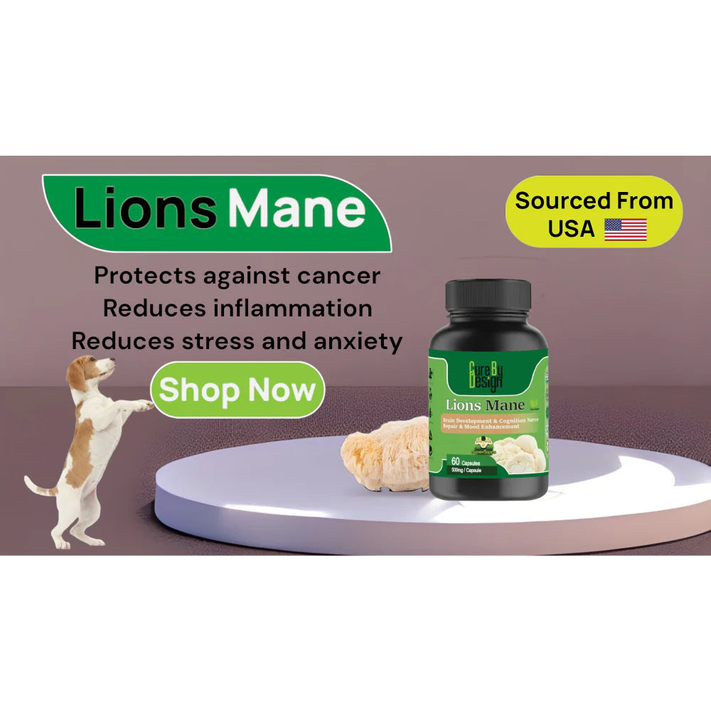 Cure By Design Lion Mane Mushroom Capsules for Dogs and Cats