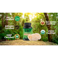 Cure By Design Lion Mane Mushroom Capsules for Dogs and Cats